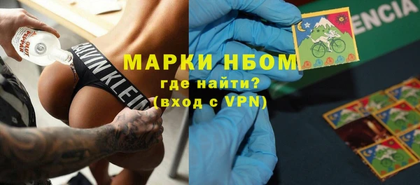 стаф Алзамай