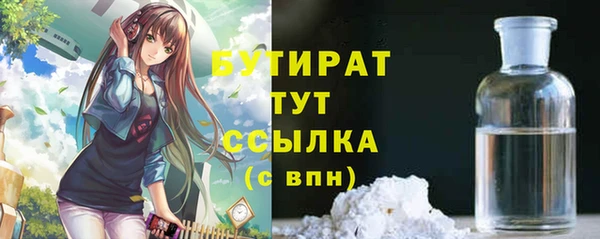 гидра Инта