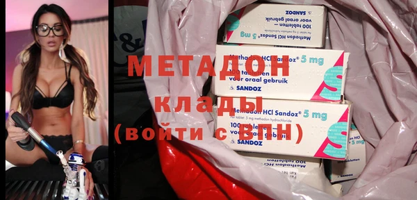 стаф Алзамай