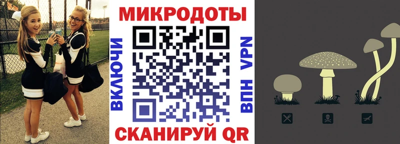 Псилоцибиновые грибы мухоморы  mega ТОР  Юхнов  купить  